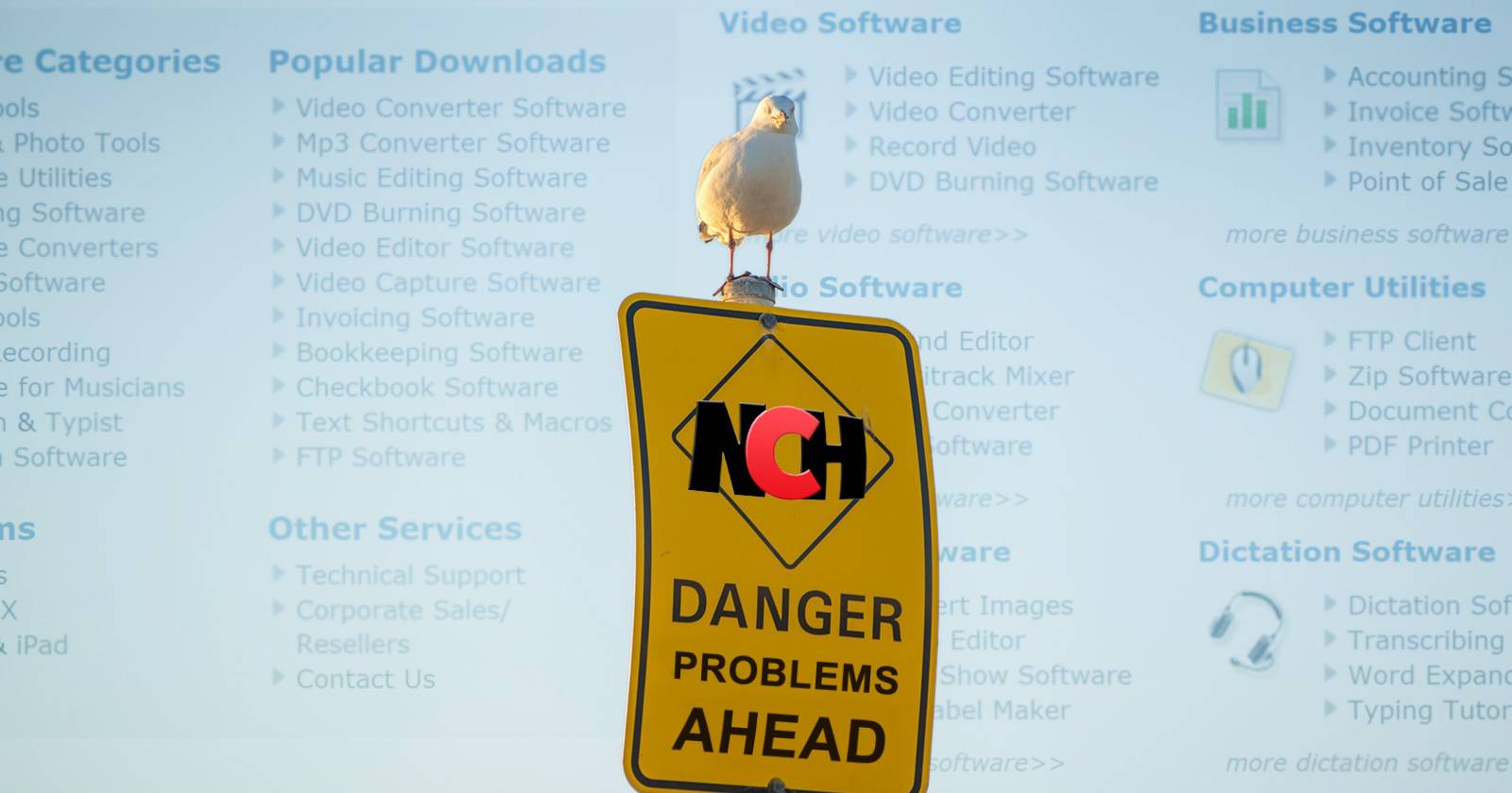 Предупреждение: окно установки NCH Software