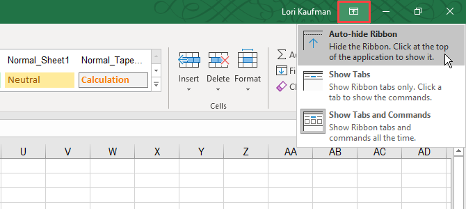 Ribbon Display Options menu on the Excel ribbon