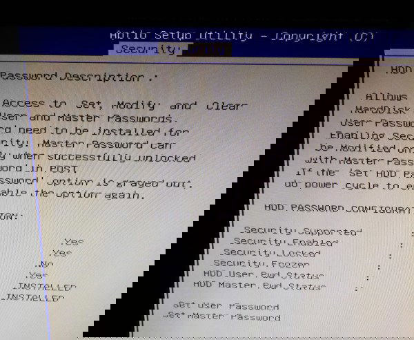 Форма установки пользовательского и мастер-пароля диска в UEFI