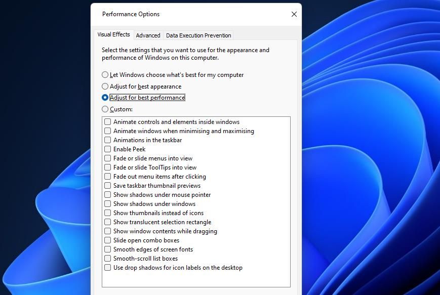 Диалог Performance Options с опцией Adjust for best performance