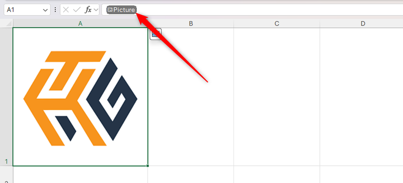 A barra de fórmulas do Excel exibindo a palavra 'Picture'.