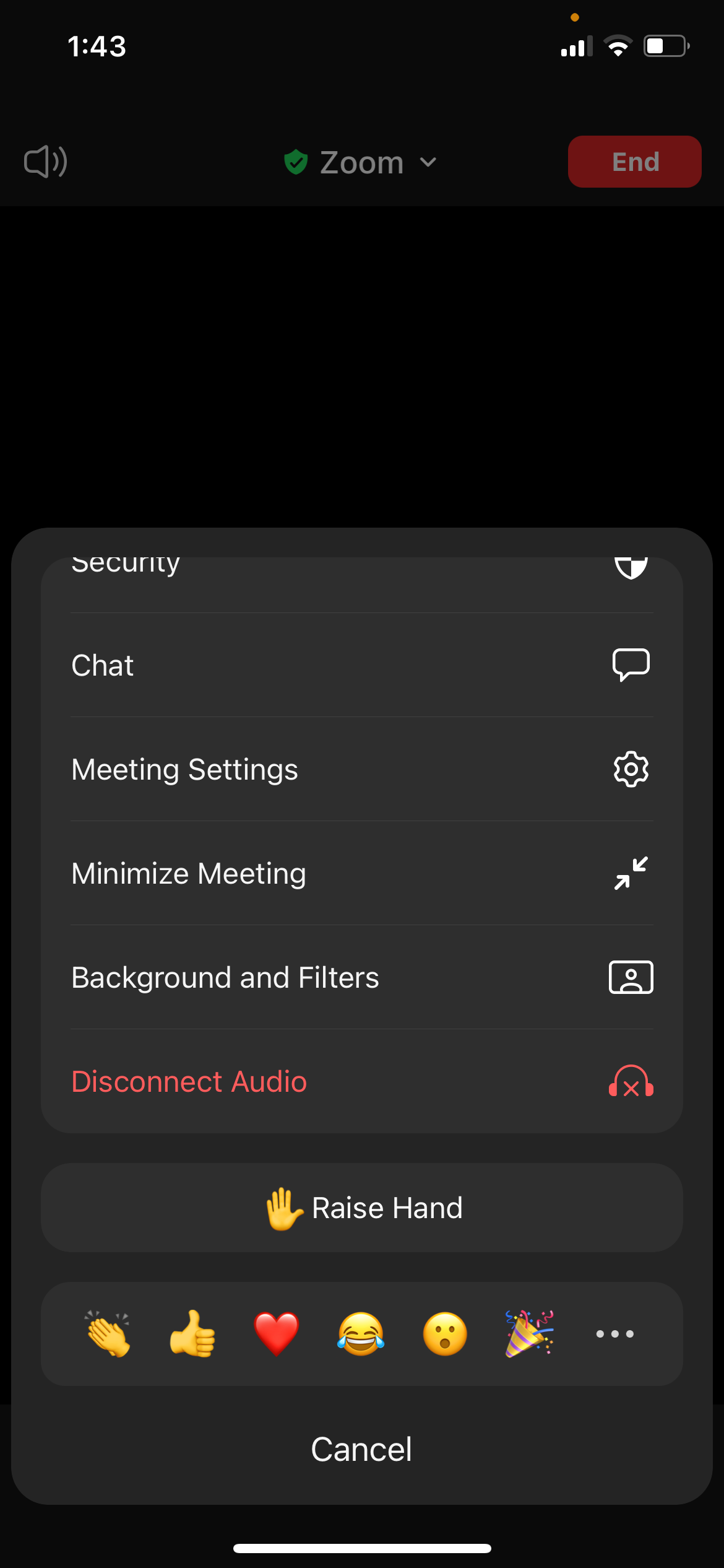 Параметры видео Zoom на iOS