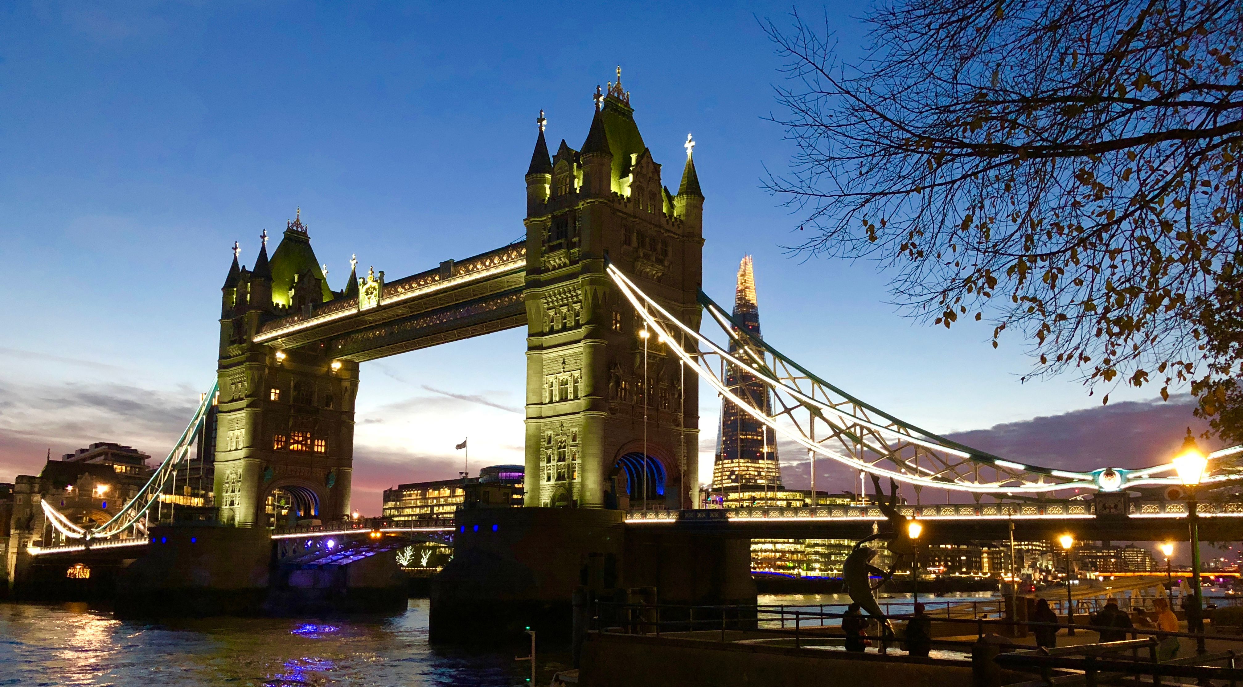 Тауэрский мост Лондона с деревом на переднем плане