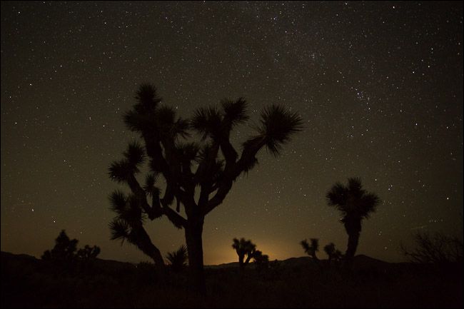 Оригинальный незапечатлённый кадр до обработки