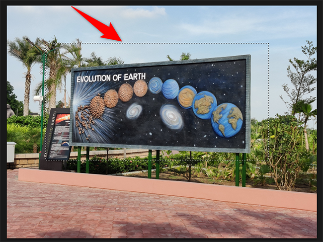 Фото с выделенной областью в Photoshop.