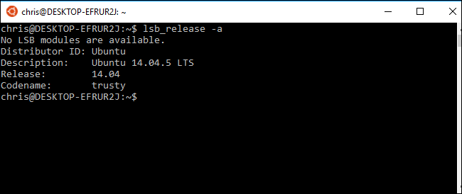 Проверка версии Ubuntu в Bash