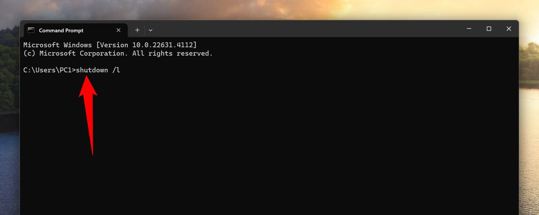 Команда shutdown /l введена в командной строке.