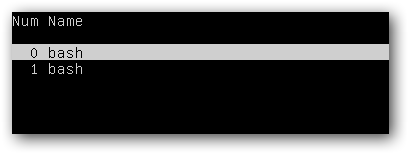 Список окон в Screen для выбора активного окна