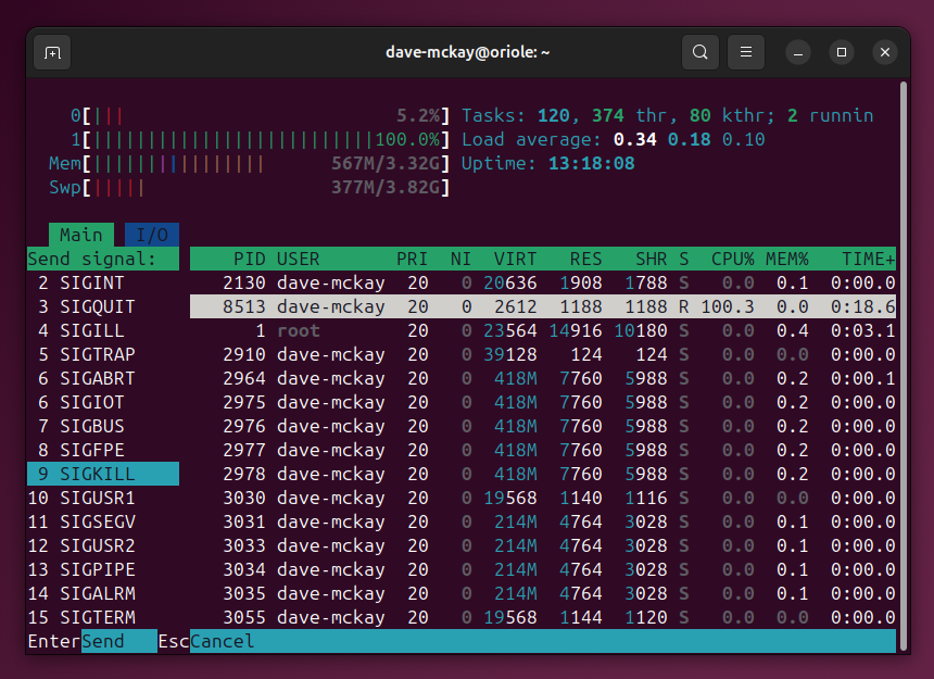 Окно терминала с программой htop и меню сигналов, выделен SIGKILL.