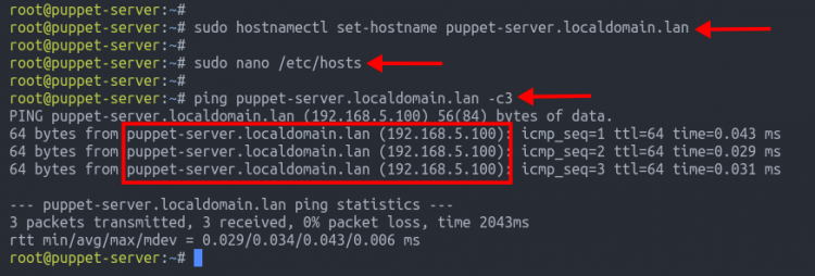 Вывод ping для puppet-server.localdomain.lan, показан ответ от 192.168.5.100