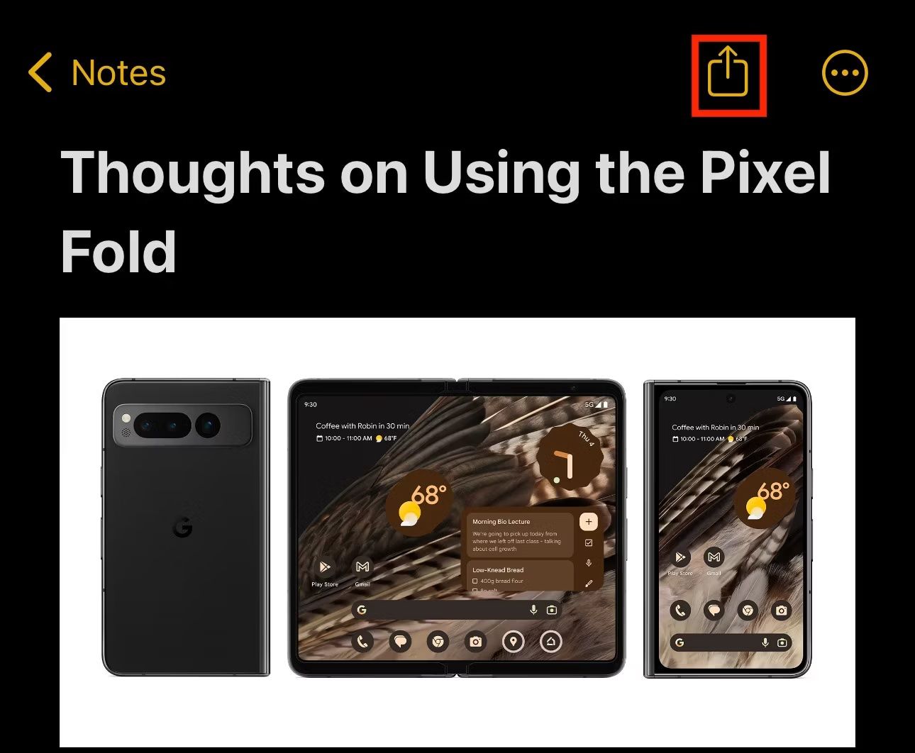 Кнопка Поделиться в приложении Apple Notes.