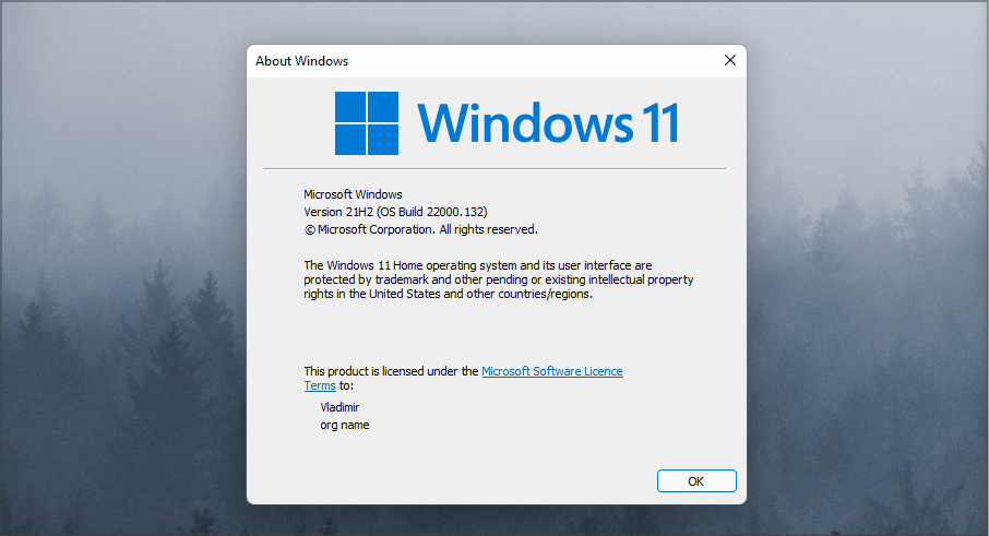 windows 11 winver info