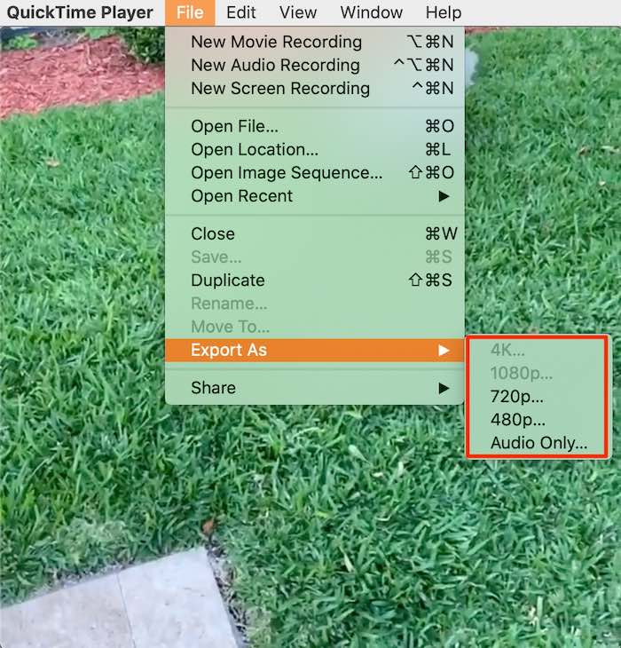 Movie Editing Quicktime Mac Shrink Video