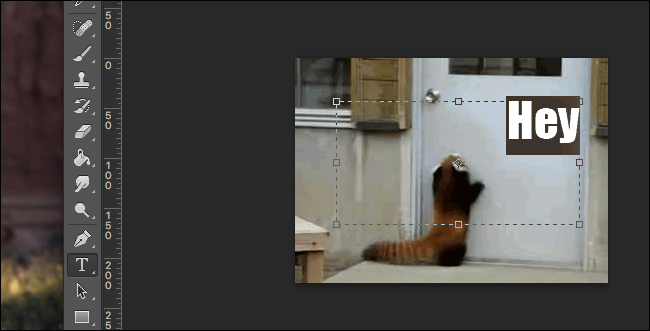 Инструмент текста (T) в Photoshop