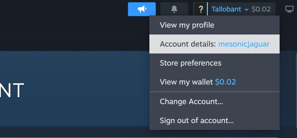 Меню пользователя Steam с выделенным пунктом «Данные аккаунта»