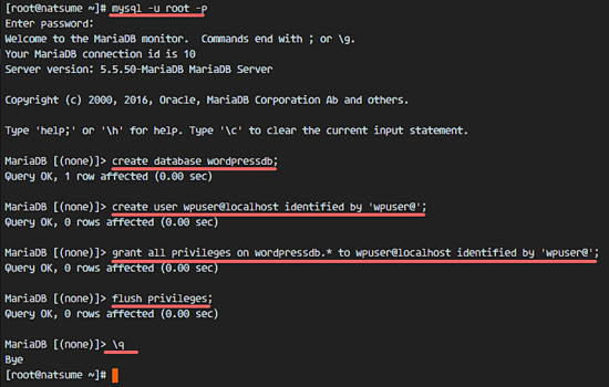 Создание базы данных для WordPress в MariaDB