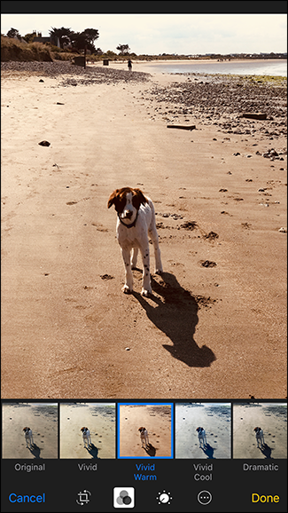 Применение фильтров к Live Photo в интерфейсе «Фото»