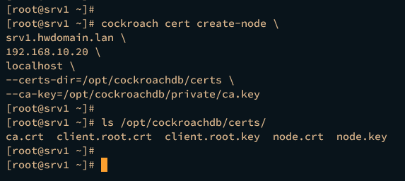 генерация node для srv1