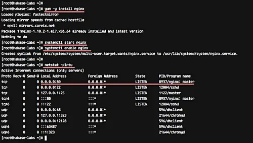 MediaWiki auf CentOS 7 mit Nginx installieren
