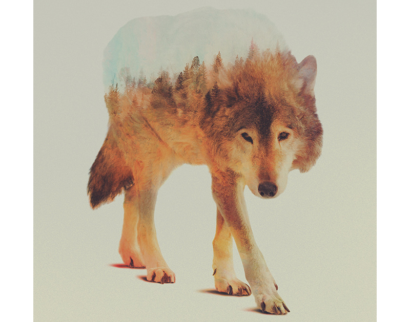 Иллюстрация: человек как «контейнер» и пейзаж как внутреннее наполнение