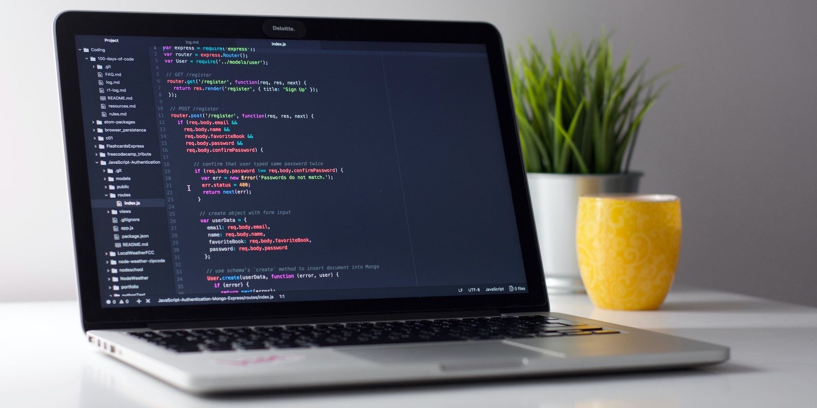 Как копировать код с сайтов — Chrome, Firefox, Edge