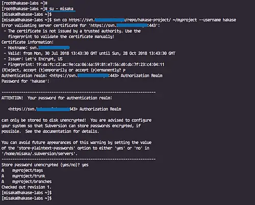 Клонирование репозитория SVN