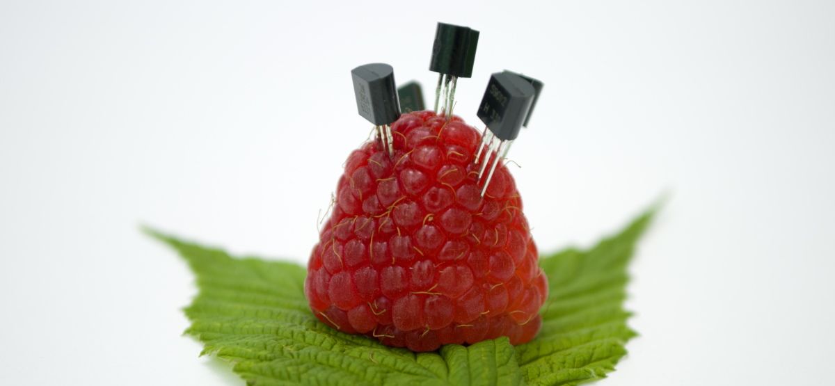 Twister OS на Raspberry Pi: установка и темы