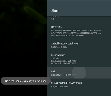 Скриншот меню настроек с выделенными параметрами разработчика
