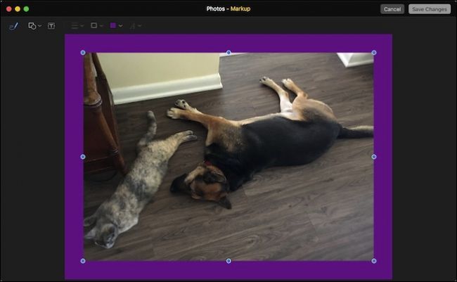 Фигуры и рамки на macOS