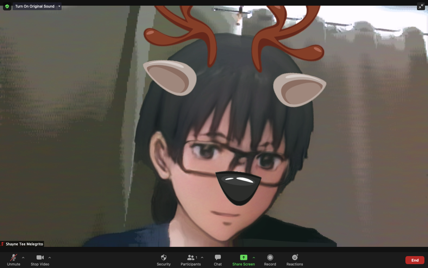 Сочетание фильтров Zoom и Snap Camera