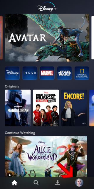 Главный экран приложения Disney+ с иконкой профиля внизу