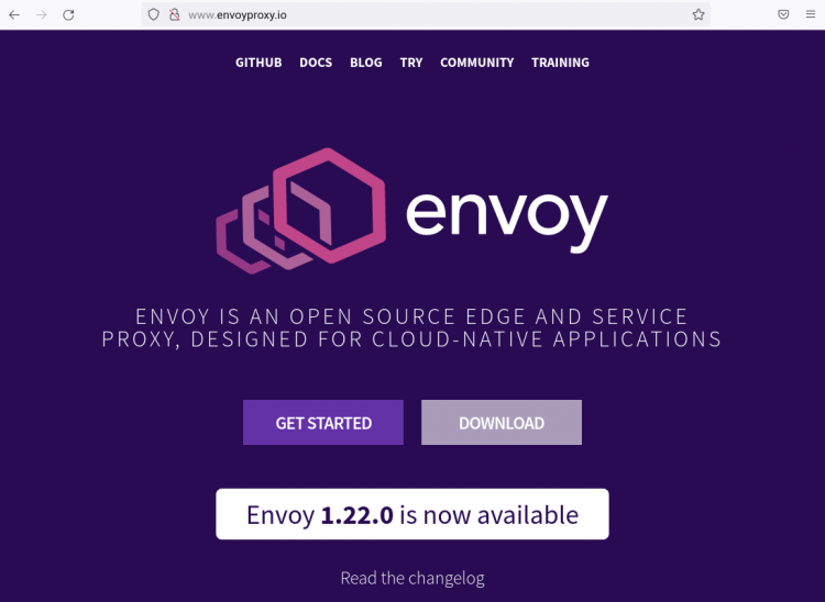 Результат проксирования через Envoy