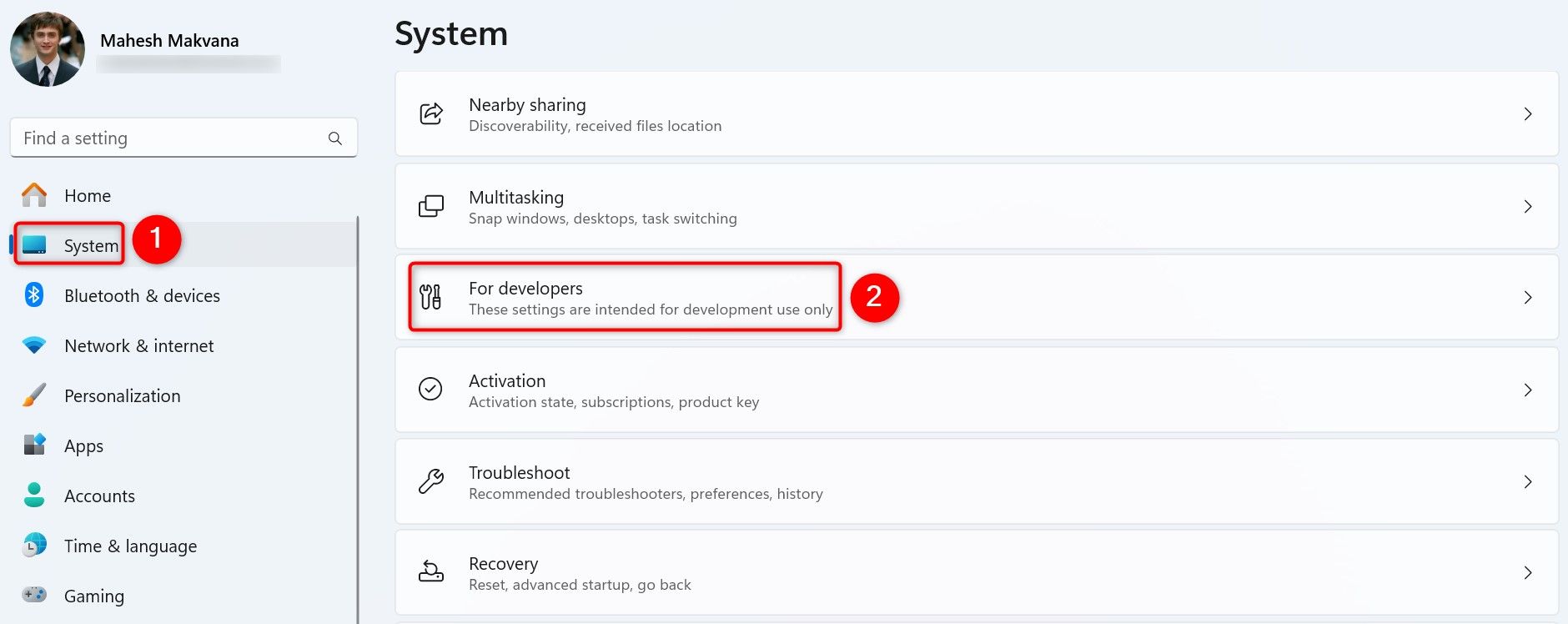 'System' and 'For Developers' highlighted in Windows 11 Settings.