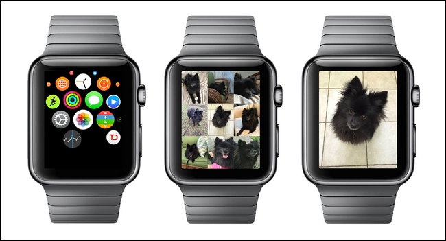 Экран приложений Apple Watch с иконкой Фото