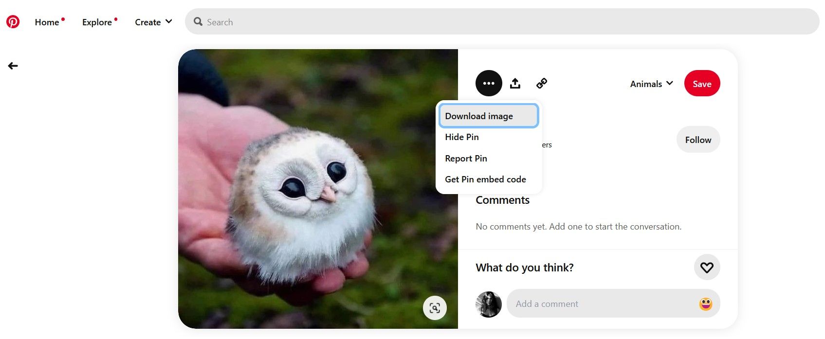 Опция «Скачать изображение» на сайте Pinterest