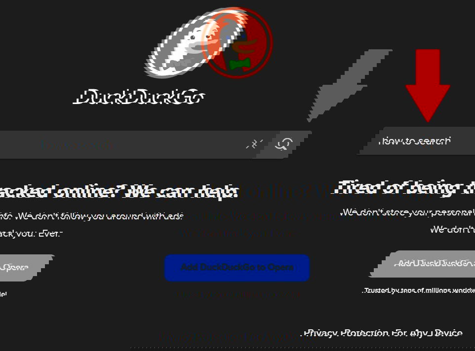 DuckDuckGo: поле поиска