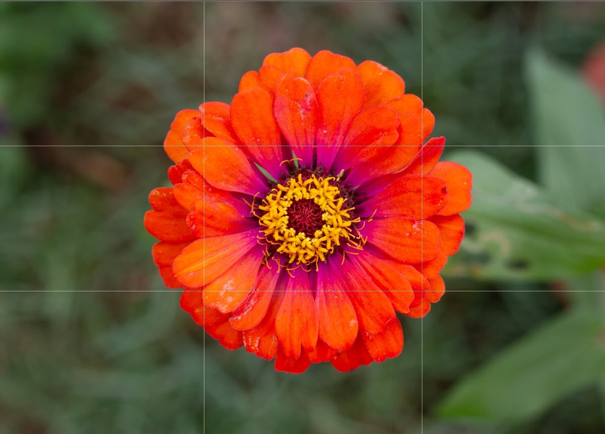 крупный план объекта, заполняющего весь кадр