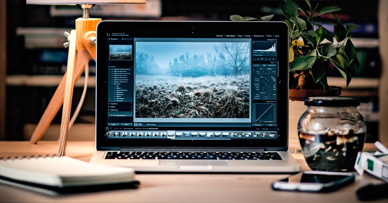 Рисование в Windows Forms: линии, фигуры, изображения