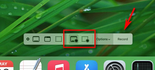Параметры записи экрана в панели Screenshot — запись всего экрана или выбранной области