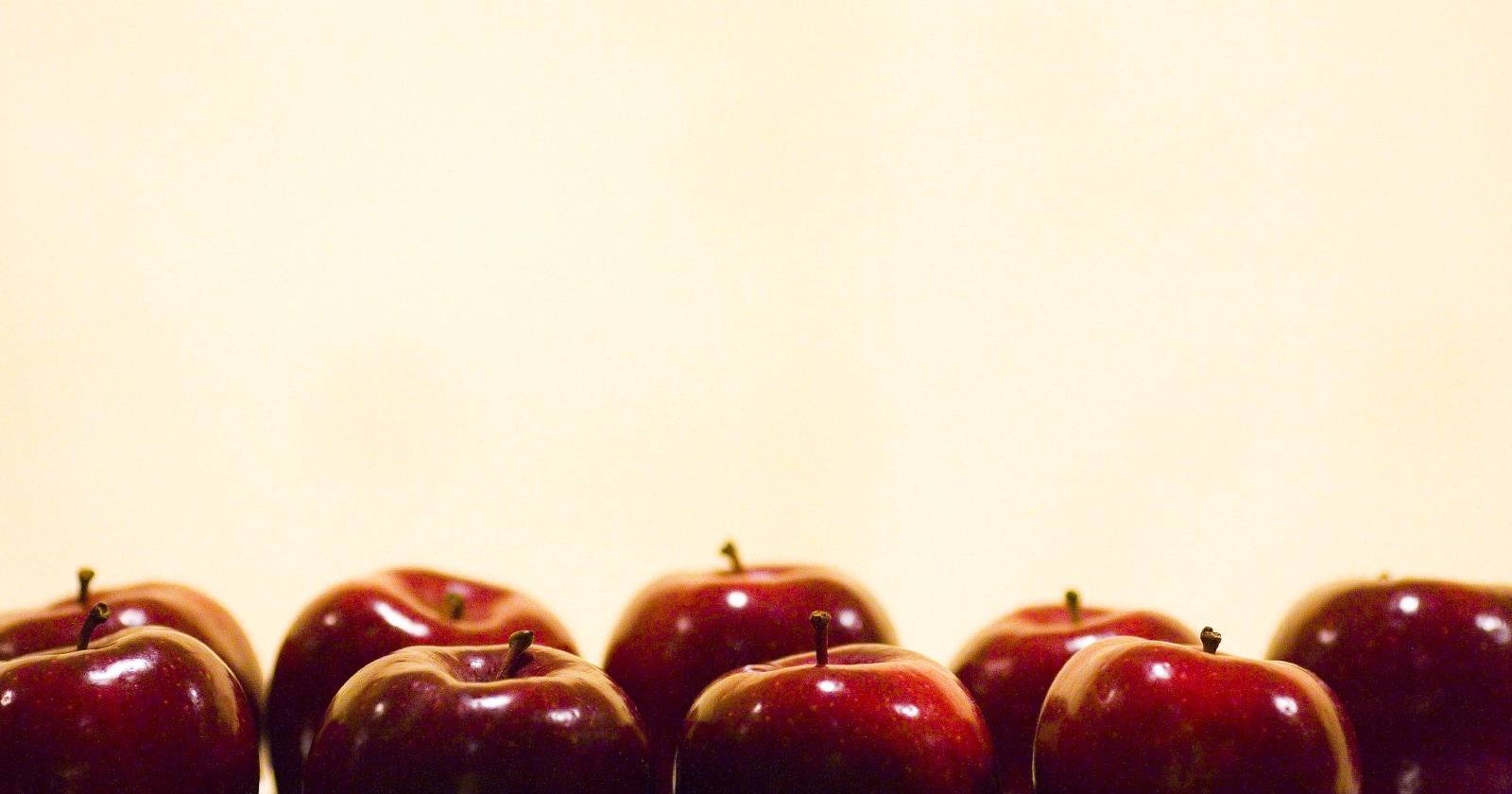 Студент с ноутбуком и конспектами