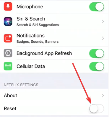 Переключатель Сброс в настройках приложения Netflix для iOS
