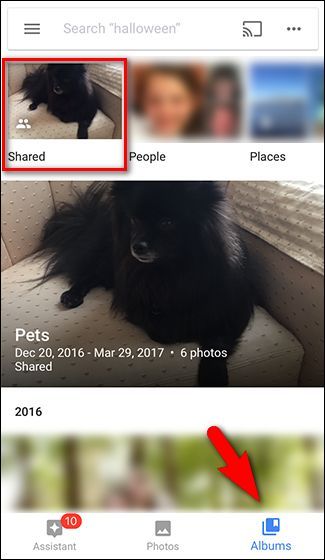 Список общих альбомов в приложении Google Photos