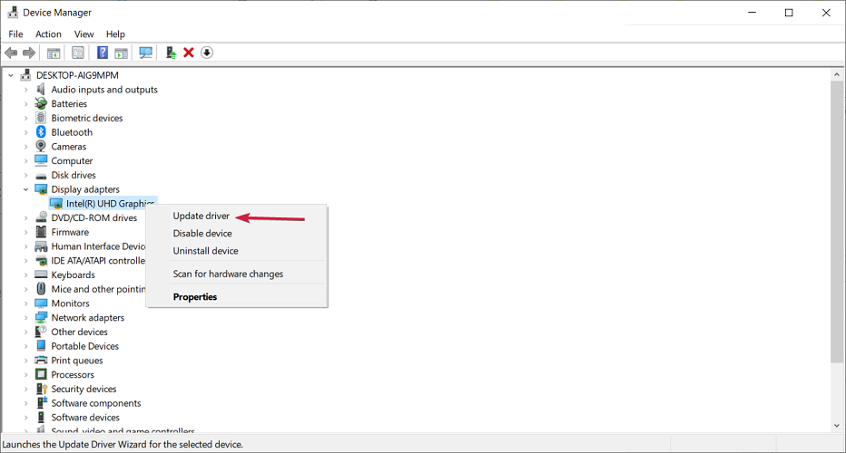 Дисплей адаптеры в Диспетчере устройств