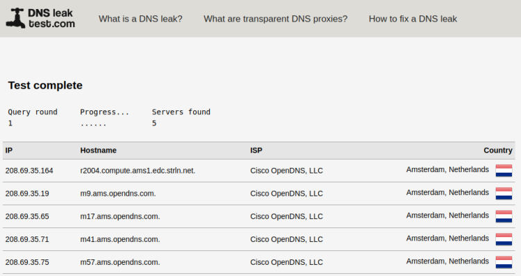 Стандартный тест на утечку DNS, отображающий OpenDNS-серверы