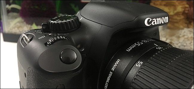 Как посмотреть EXIF-данные в Windows и macOS