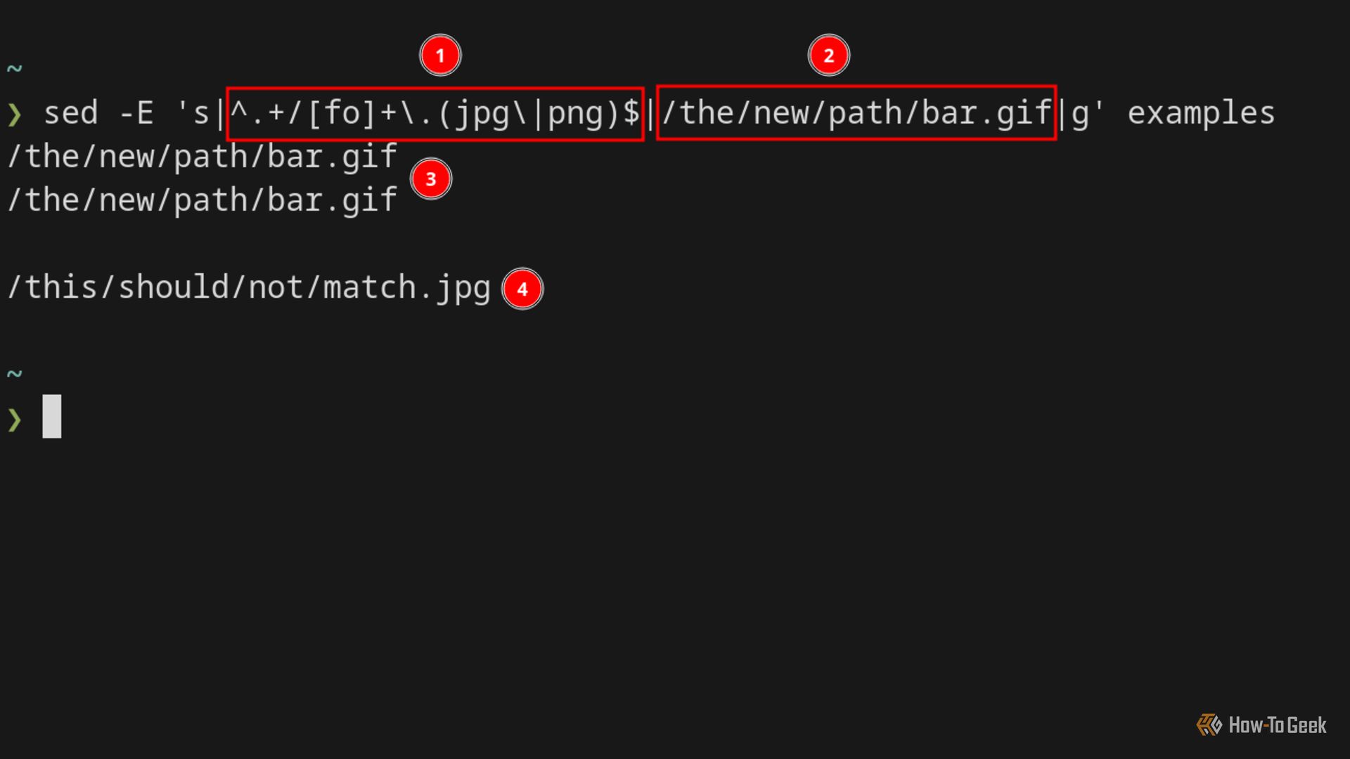 Визуализация поиска и замены с помощью sed — демонстрация замены путей в выводе терминала.