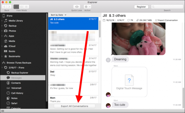 Скриншот окна экспорта сообщений в iExplorer с опциями форматов