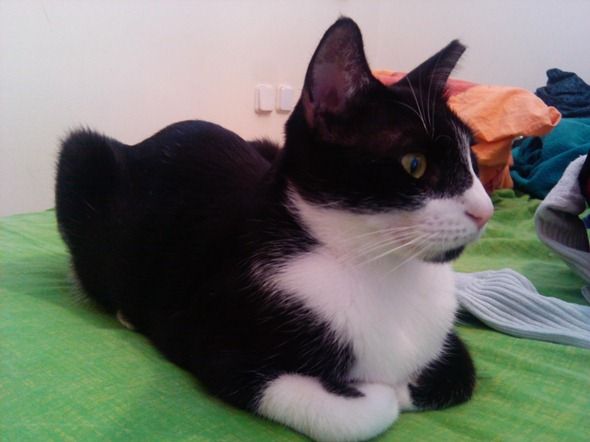 Сценарий, где вспышка искажает цвет и создаёт резкие тени