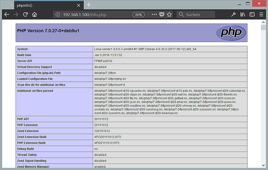 Информация PHP-FPM