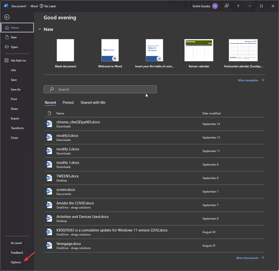 Меню Файл — Параметры в Word
